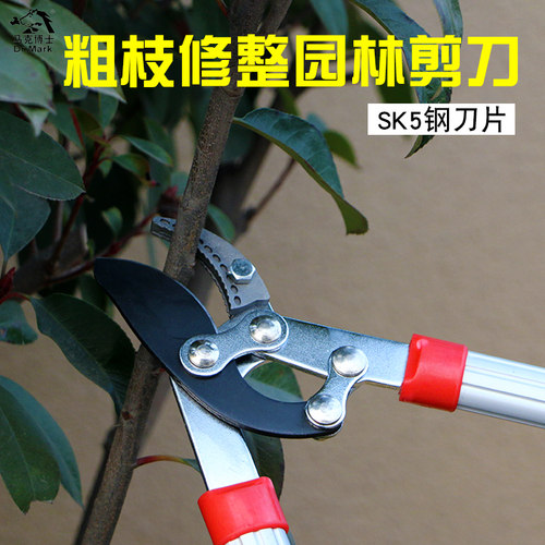省力粗枝剪高枝剪强力树枝剪刀果树园艺剪刀伸缩大力剪园林大剪刀