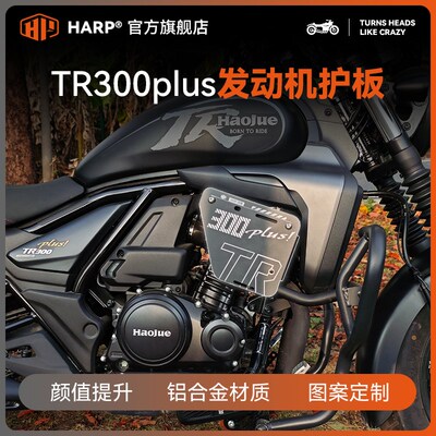 适用于TR300/plus改装前保险杠装饰盖板护杠罩侧T盖铝合金护板配