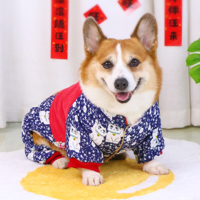 宠物狗狗秋冬款衣服四脚过年新年加厚保暖冬天冬季小型犬2025新款