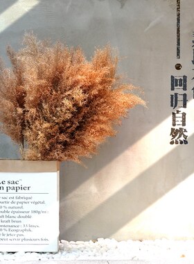 服装店芦苇干花花瓶橱窗干花装饰摆件北欧束桌面家具摆设落地创意