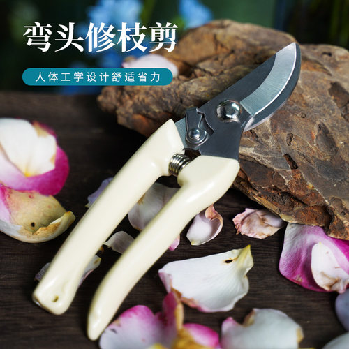 修枝果树园艺花艺果园花材工具家用花店插花修枝剪花专用剪刀套装