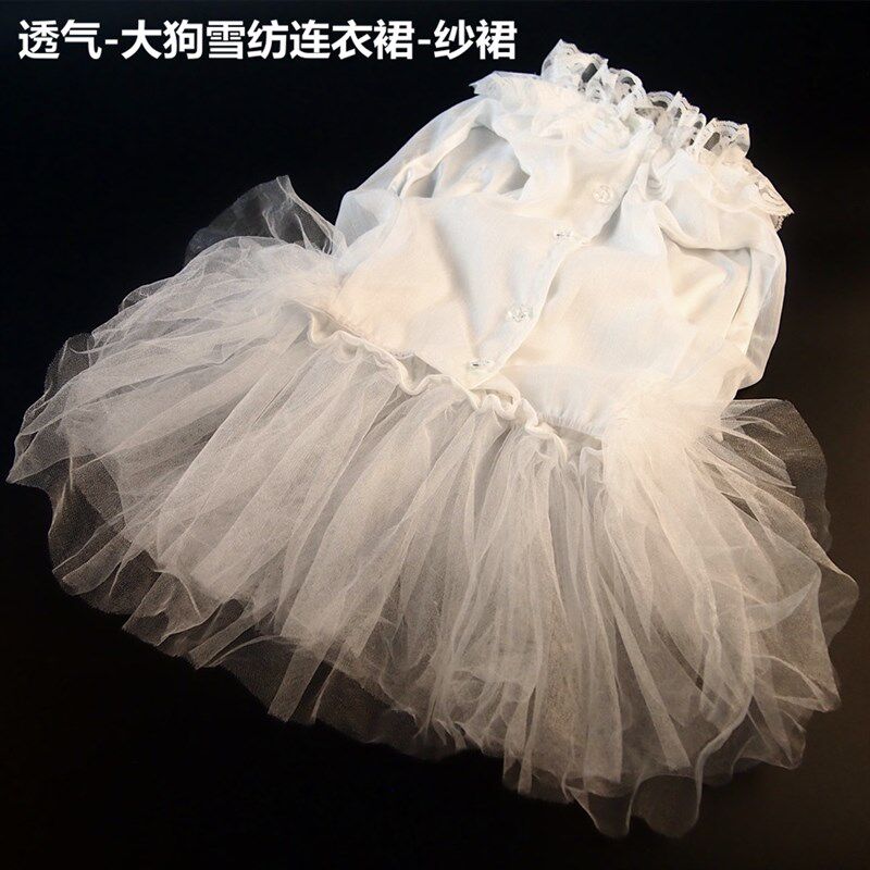 网红 小白裙 雪纺裙子宠物狗狗秋田银狐金毛春夏衣服萨摩边牧婚纱