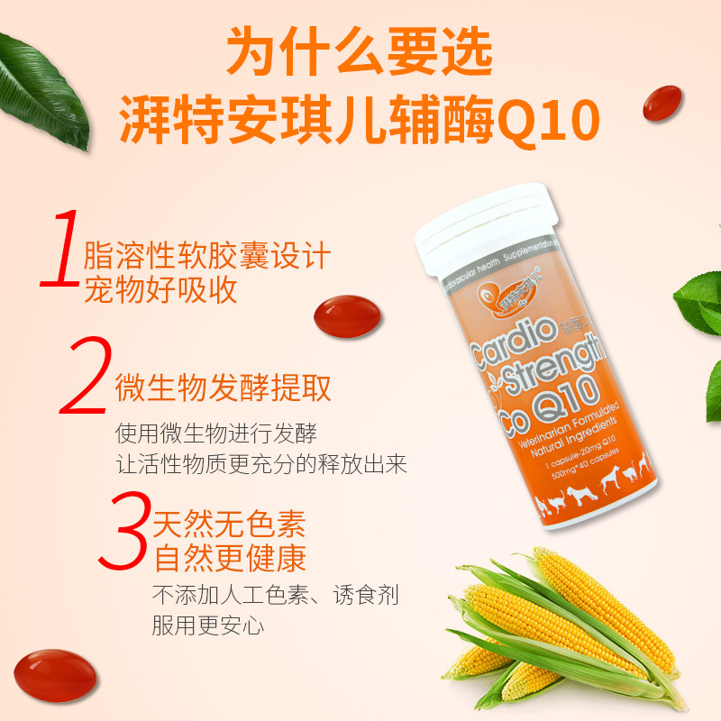 安琪儿辅酶Q10猫狗改善心脏心血管心肌肥大宠物老年犬猫心脏保健