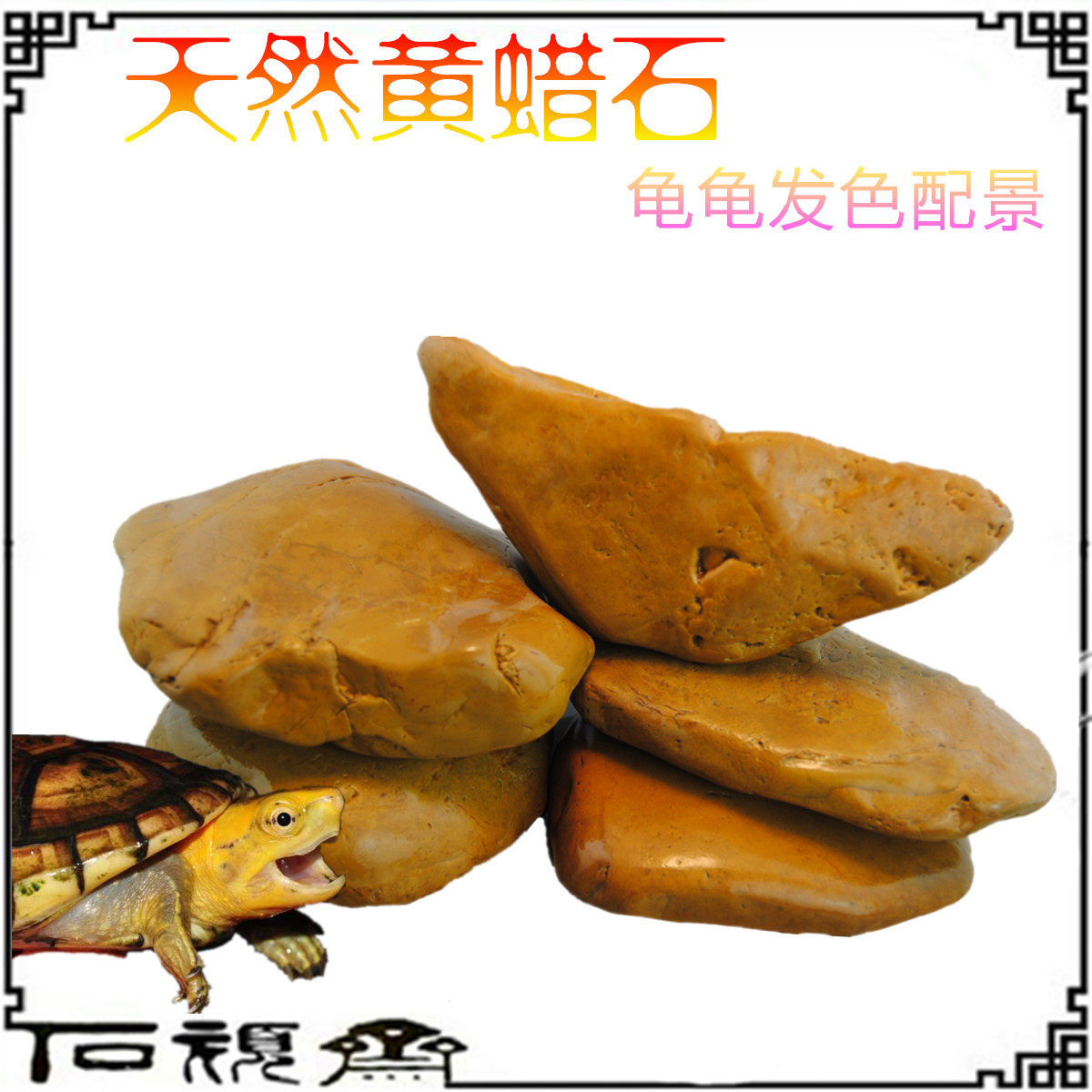 黄蜡石乌龟晒台天然鱼缸装饰造景黄喉缘泽龟发色晒背腊石休息爬台