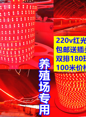 220V红色led灯带超高亮养殖红光灯条户外防水红色灯条家装酒吧KTV