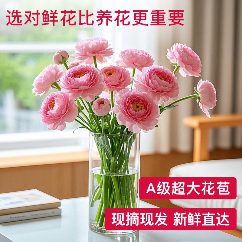 花点时间蝴蝶洋牡丹鲜花速递云南昆明办公室插花水养真花培鲜切花