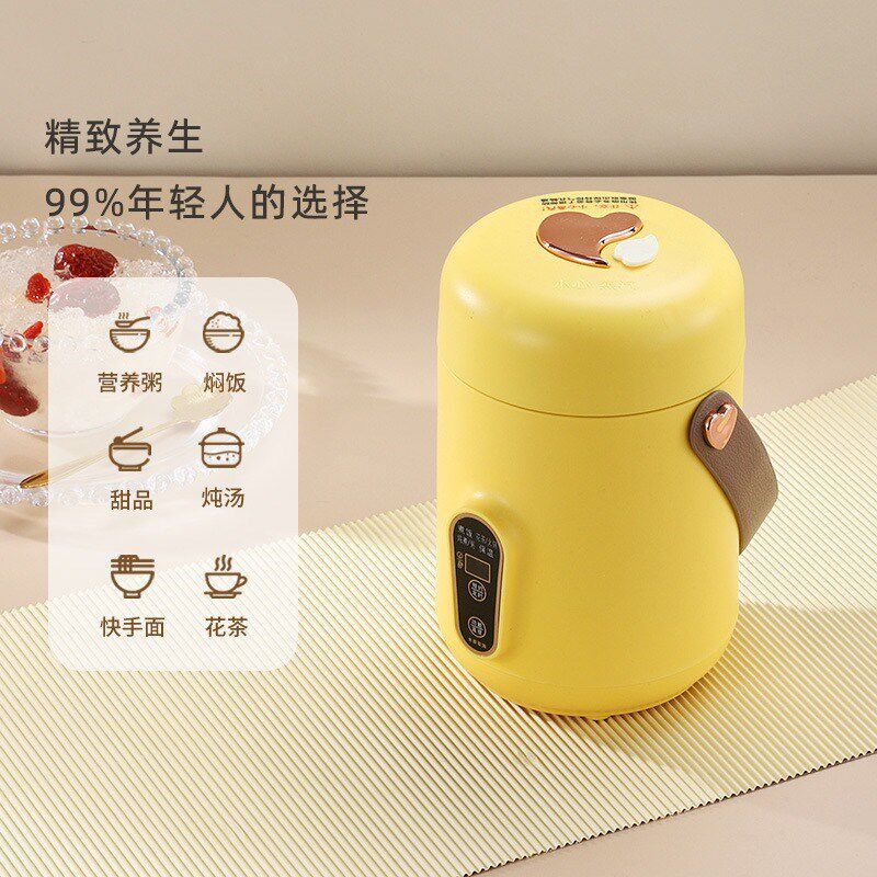 智能全自动便携式电提锅家用小型煮粥煮饭电炖锅办公礼品