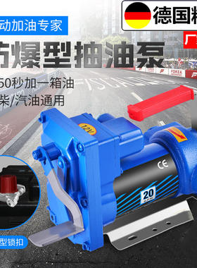德国进口汽油泵12V24V220V电动抽油泵汽油防爆自吸抽油机加柴油器