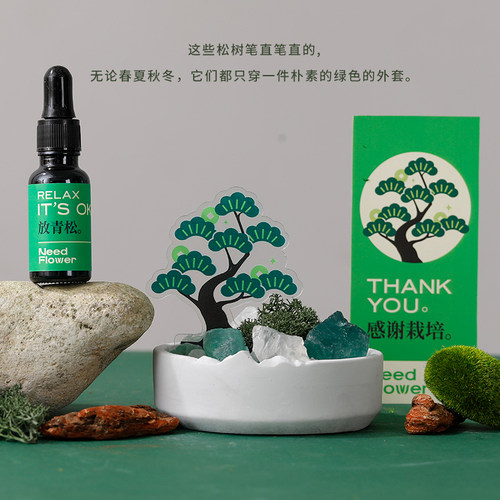 万事青松无火香薰礼盒扩香晶石摆件生日礼物送长辈老师男女生小众