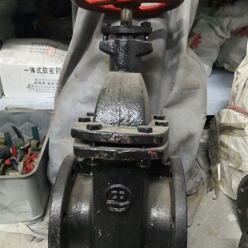 桐庐铜芯法兰闸阀Z45T-10 铸铁闸阀 精铸大体/防护闸阀DN40-600