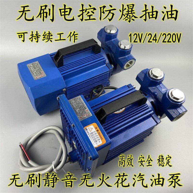 12v24v220v大流量防爆泵电瓶无刷电机静音抽油泵汽油柴油自吸抽油