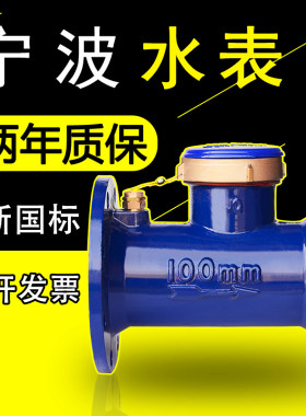 法兰水表dn150/100/80/65/50自来水家用立式螺纹宁波国标大口径