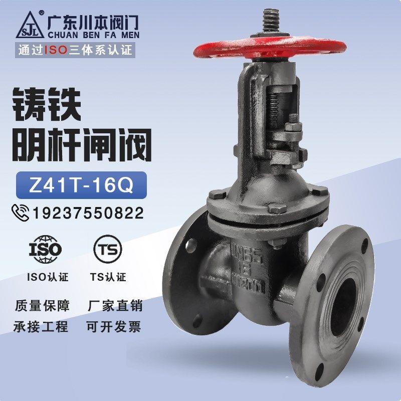 Z45T-16铸铁明杆闸阀闸板法兰手动排污消防排水开关水阀DN50 65