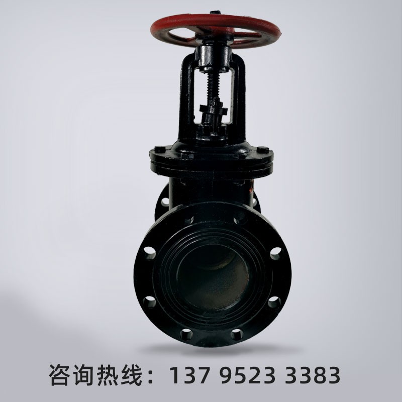 Z41T明杆铸铁法兰闸阀自来水消防热力供暖手动阀门铜芯铜杆DN5080