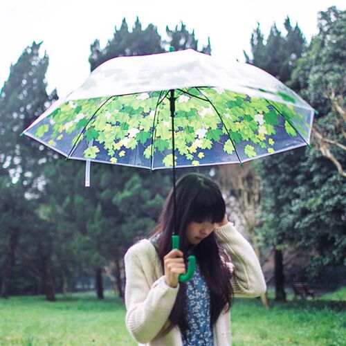创意小清新成人文艺雨伞女树叶图案拱形蘑菇透明伞绿叶长柄伞学生