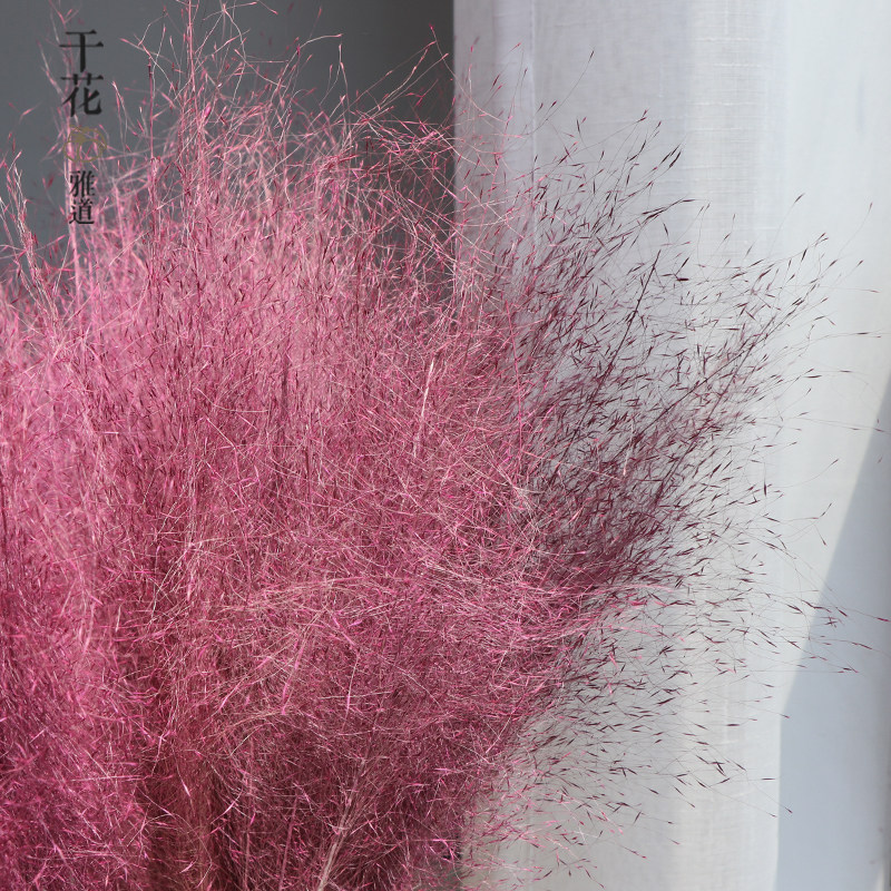 网红粉黛乱子草干花染色干花展会场景布置装饰客厅摆设花拍摄道具