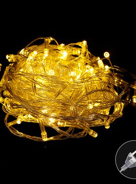 圣诞节装饰品树上彩灯串户外防水闪灯满天星LED小灯100头节日装扮