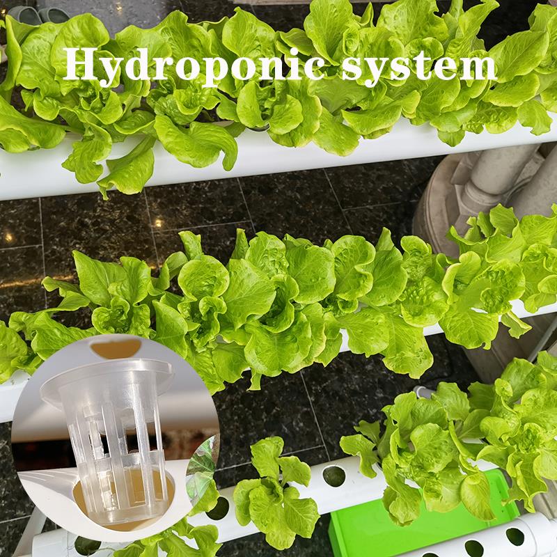 平铺式管道种菜机家庭阳台无土栽培设备自动化水培蔬菜水耕种植架
