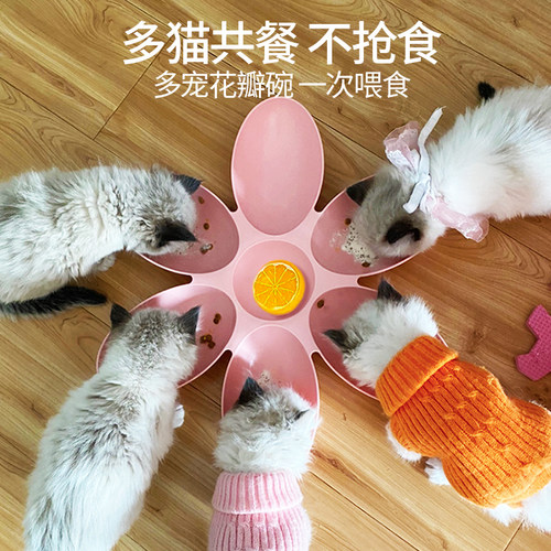 猫碗花瓣多猫食盆奶狗幼猫专用流浪猫喂食碗小猫咪奶猫盘餐盘食碗