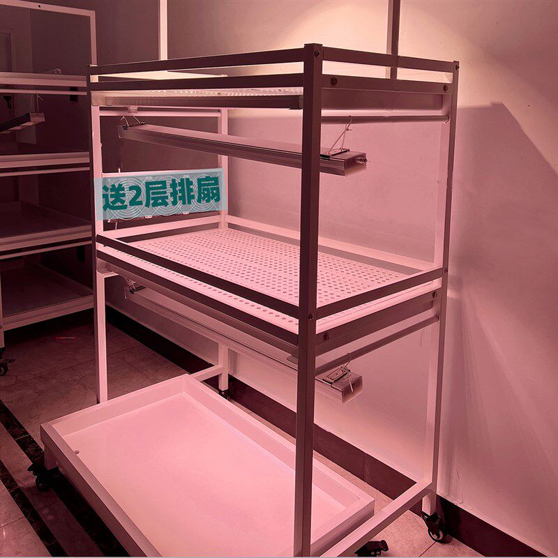 浇水浸盆花架阳台落地阶梯式多层多肉排扇补光灯不锈钢花盆置物架