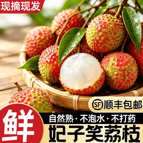 广东妃子笑荔枝新鲜果