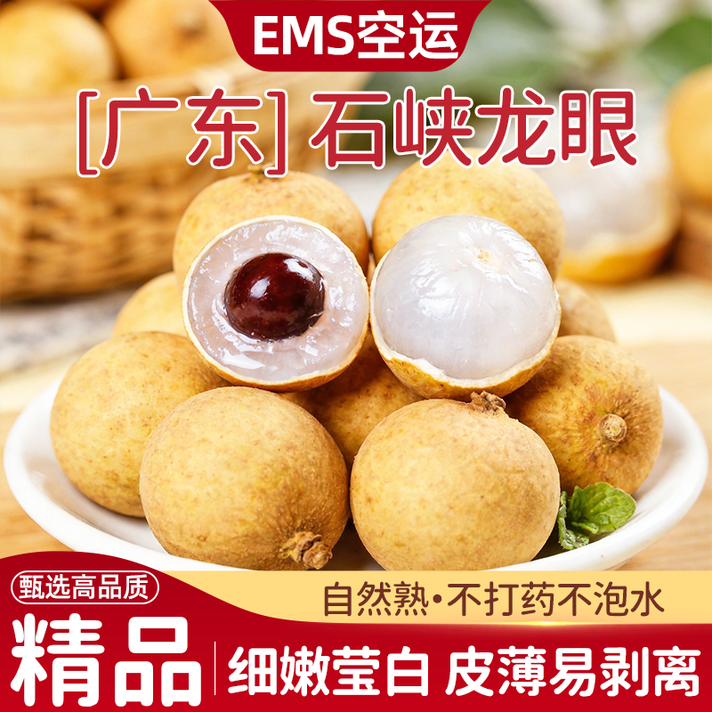 当季广东石峡储良龙眼大果现摘