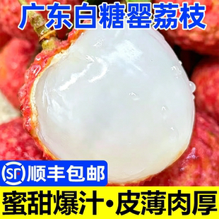 带箱5斤！白糖罂荔枝单果20g+
