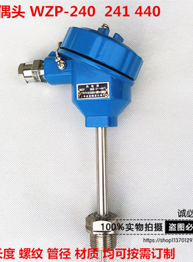厂销 防爆热电阻 热电偶WZP241 240 PT100温度传感器WRN140 440