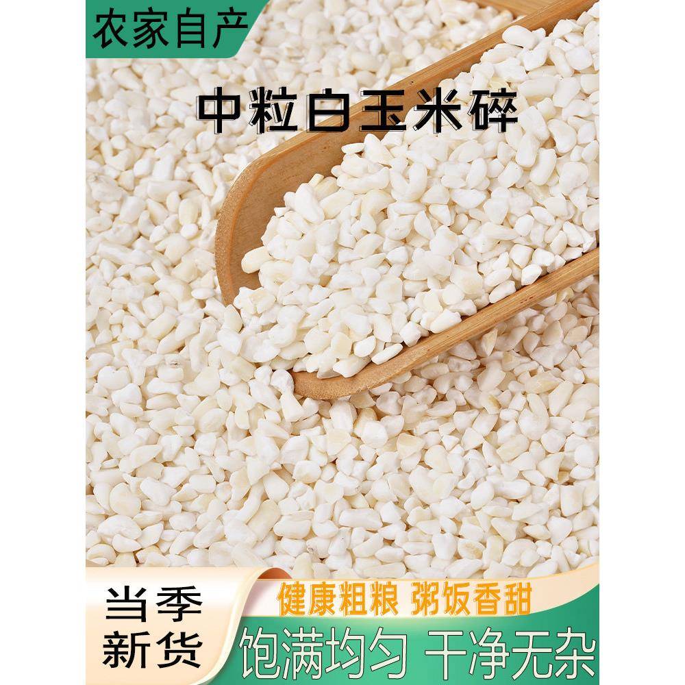 中粒白玉米碎当季东北新货熬煮粥粘白糯玉米碎玉米碴子颗粒