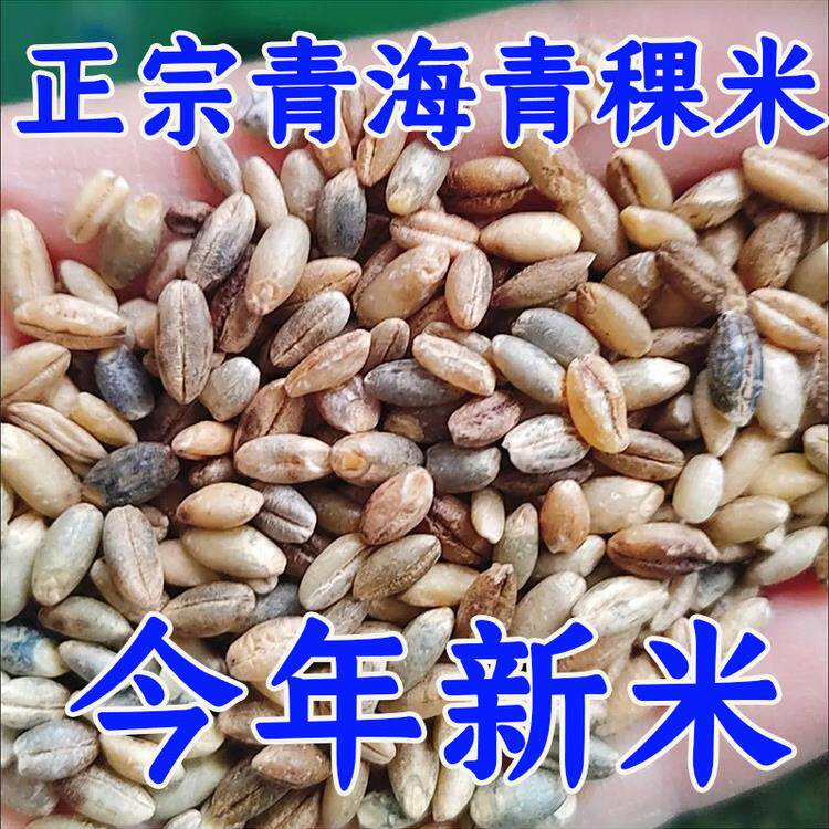 青海去皮青稞米新米农家优质青稞米特产五谷杂粮新粗粮蓝青稞膳食