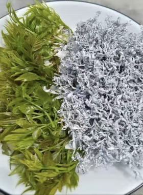 2026年湖南凤凰高山   清明前牙尖茶  莓茶/雪茶