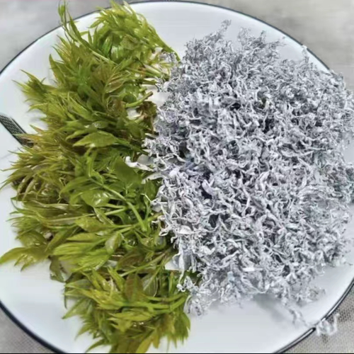 2026年湖南凤凰高山   清明前牙尖茶  莓茶/雪茶