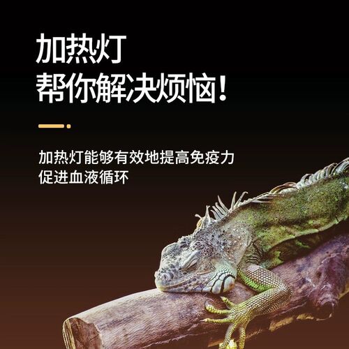 Reptizoo爬宠陶瓷灯爬虫陆龟蜥蜴鬃狮守宫取暖保温饲养箱加热灯