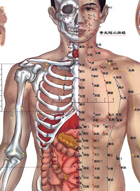 经络图解丝绸画人体穴位图挂画中医养生文化推拿针灸按摩店装饰画