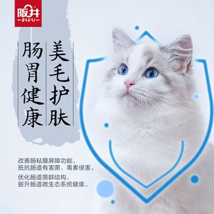 阪井猫粮成猫幼猫粮3斤装英短蓝猫专用增肥发腮营养全价成年猫粮