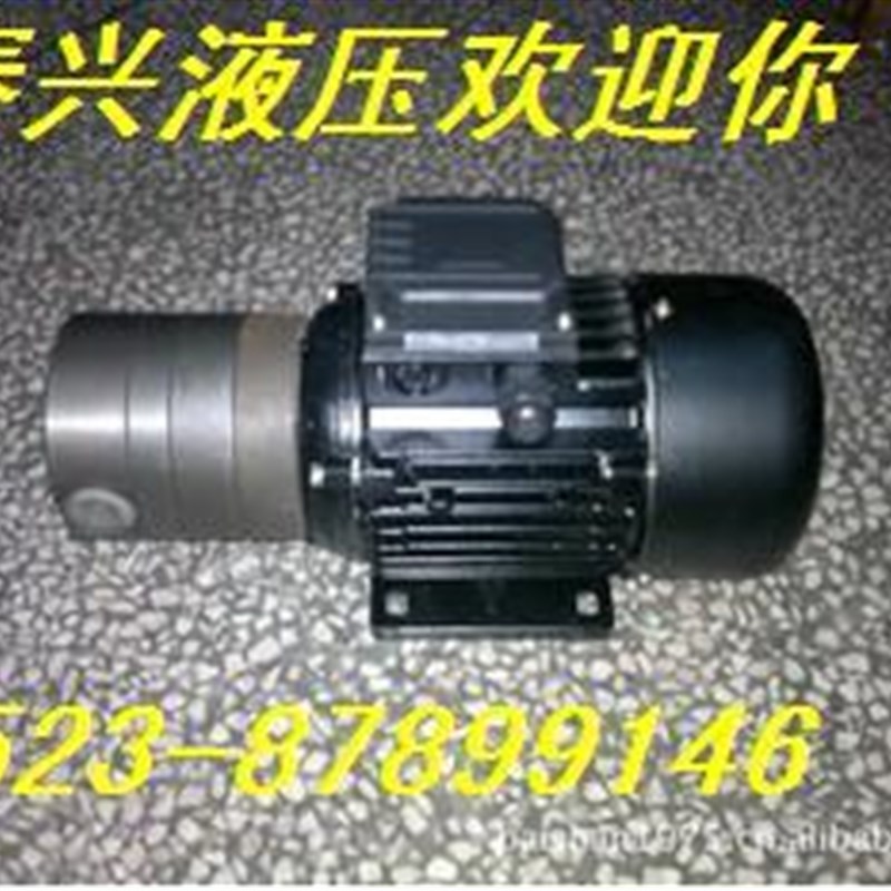 JF-04-05-02B专用泵/SXF-2.5/SXF-4.5双向润滑油泵电机组