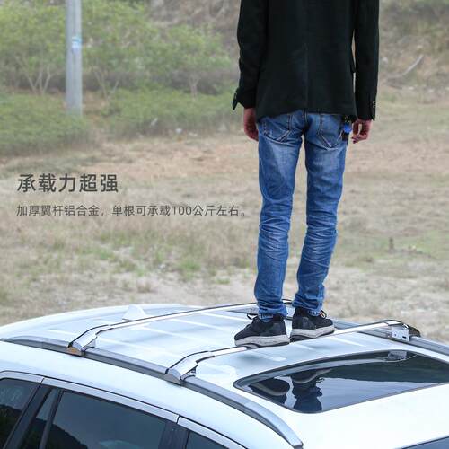 拓鹰专用于魏牌P8魏派虎钳式加厚铝合金车顶横杆载重横杠行李架