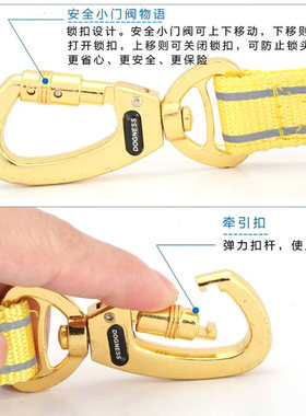 Dogness多尼斯狗狗牵引绳带子大型犬中型小型犬泰迪金毛宠物链子
