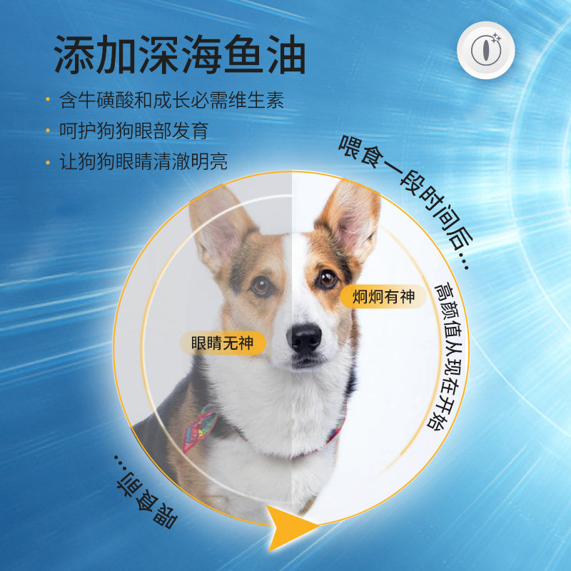 柯基犬专用狗粮10斤装幼犬成犬通用型20小中型科基40天然