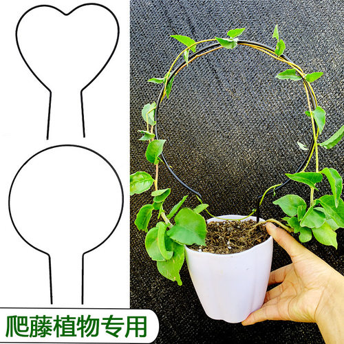 简约铁制心形花架带蝴蝶造型 适用於桌面花卉的爬藤架 黑色蝴蝶造