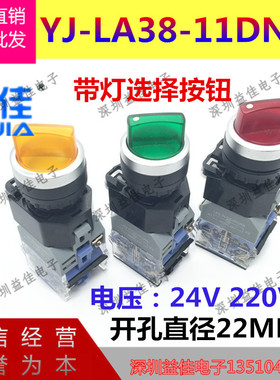 上海一佳YJ139-LA38-20X/31 3档选择开关 22mm三档旋钮开关红绿柄