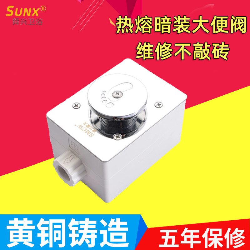 PPR热熔暗装脚踏冲水阀蹲坑蹲便器蹲厕开关延时脚踩式液压埋入式