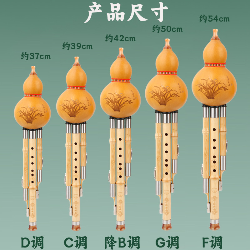 楠竹葫芦丝乐器c调降b调F调初学入门儿童小学生专用七孔8孔胡葫丝