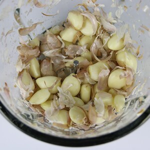 上豪HA-1000A电动切碎机 剥蒜绞肉机家用 厨房电器深圳制造保修一