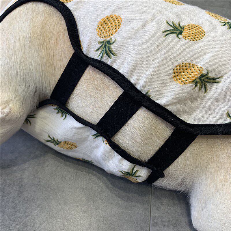 宠物狗狗背心法国斗牛犬夏天季薄款衣服中小型泰迪柯基八巴哥网红