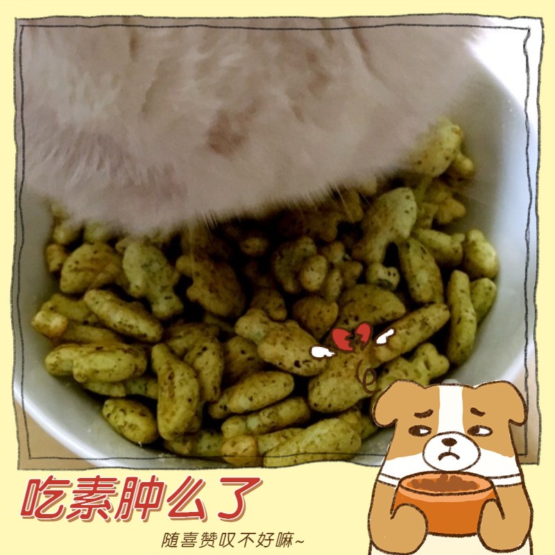 阿幸素食宠粮 阿幸纯素宠物零食猫狗饼干/碳烤海苔味80g
