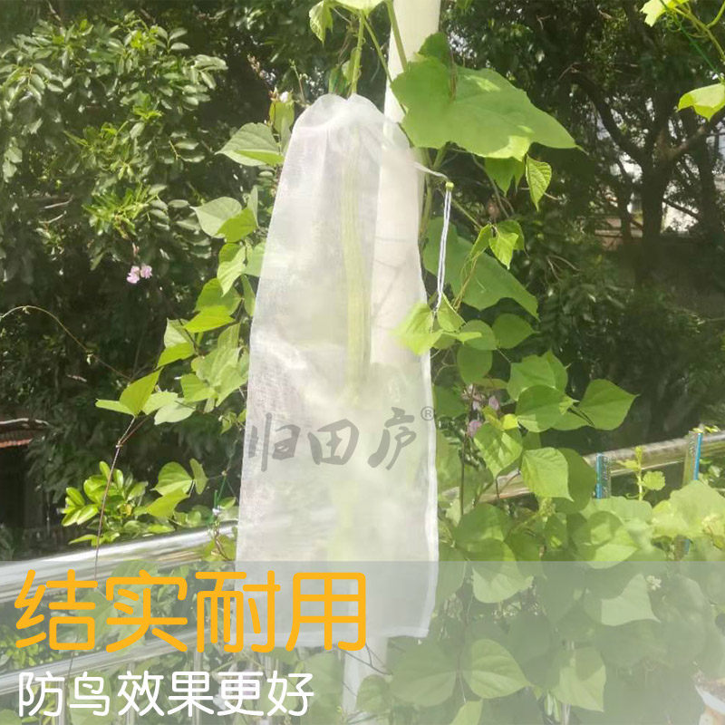 西瓜套袋苦瓜专用袋南瓜丝网袋冬瓜黄瓜丝瓜袋子西红柿防虫防鸟袋