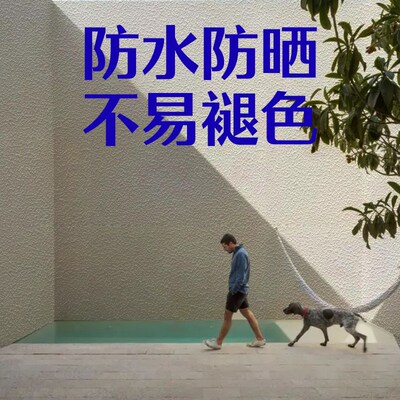 诗尔丹立体质感漆拉毛艺术漆室内墙面肌理漆外墙纹理高级艺术涂料