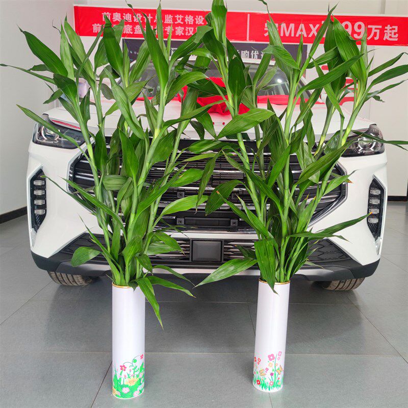 落地富贵竹花瓶摆件水养水培直筒家用客厅插花干花假花装饰藤编