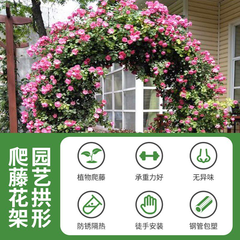拱门花架爬藤架月季蔷薇攀爬铁艺支架葡萄架支撑杆子楼顶种菜架子